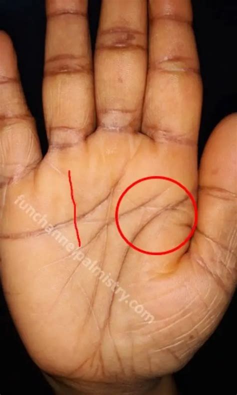 lottery sign in palmistry